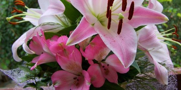 Pengalaman Beli Hand Buket Bunga Lili