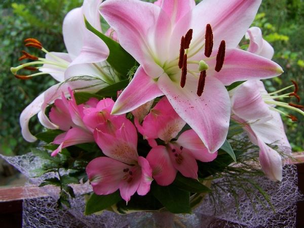 Pengalaman Beli Hand Buket Bunga Lili